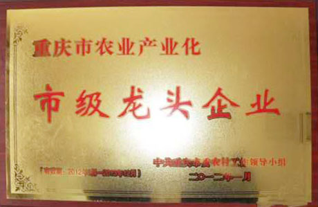 市級(jí)龍頭企業(yè)
